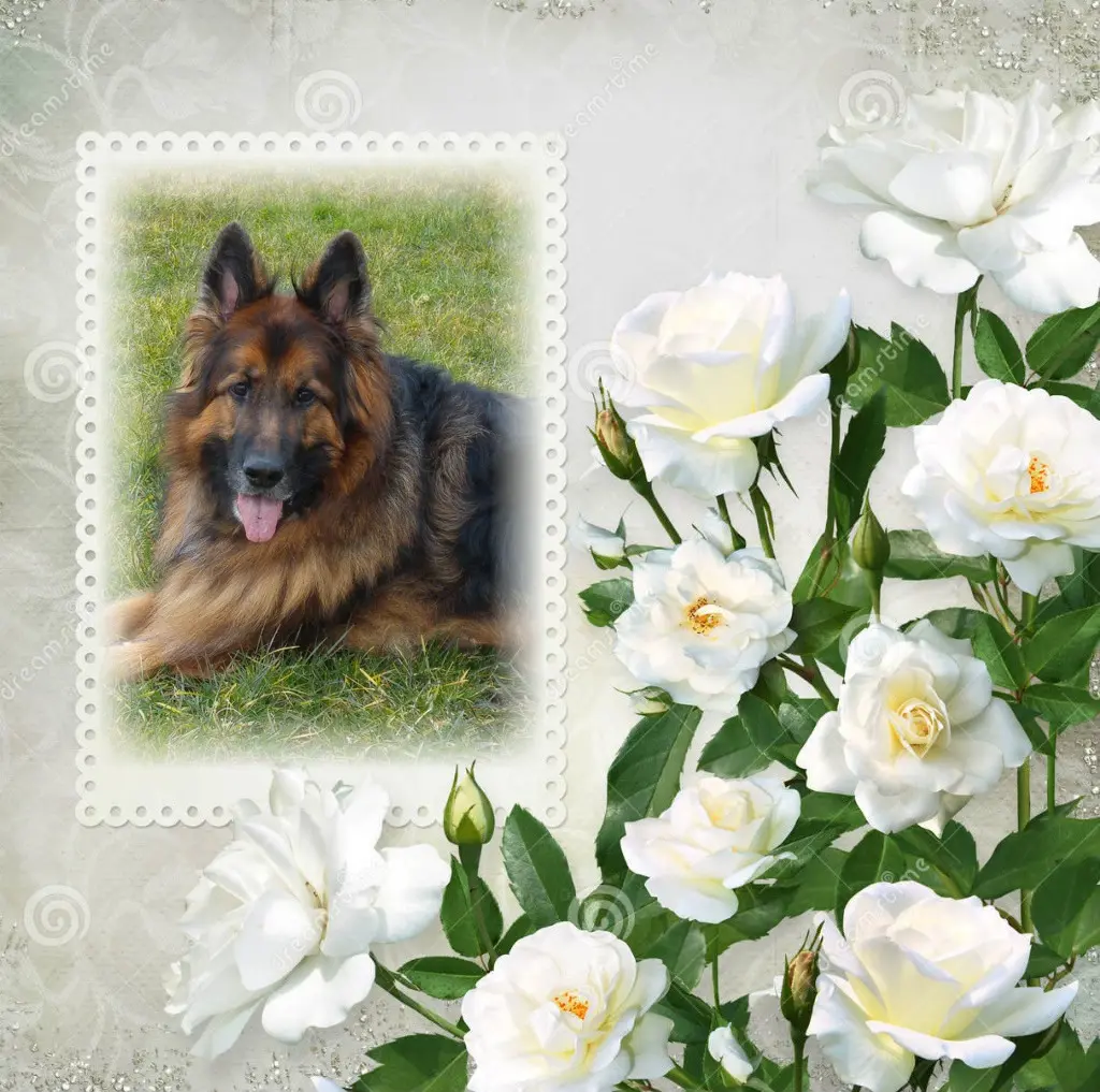 Andachtsbild von Misiulek❤️❤️❤️