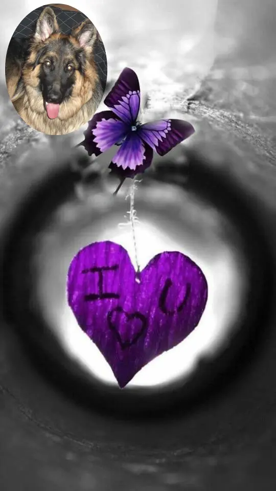 Andachtsbild von Dobrej Nocki Misieńku❤️❤️❤️