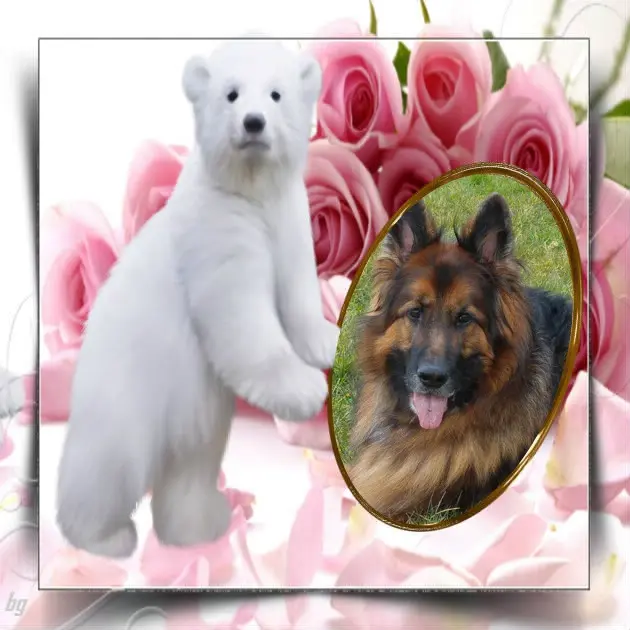 Andachtsbild von Kochany Misiu❤❤❤