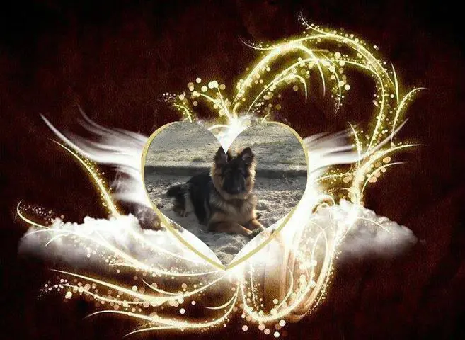 Andachtsbild von Dobrej Nocki Misieńku❤️❤️❤️