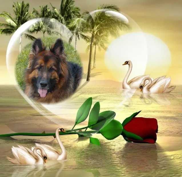 Andachtsbild von ❤️❤️❤️