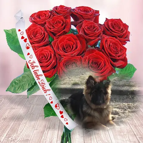 Andachtsbild von Dzień Dobry Misieńku❤️❤️❤️