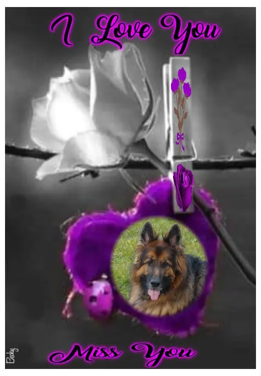 Andachtsbild von Dobrej Nocki Misieńku❤️❤️❤️