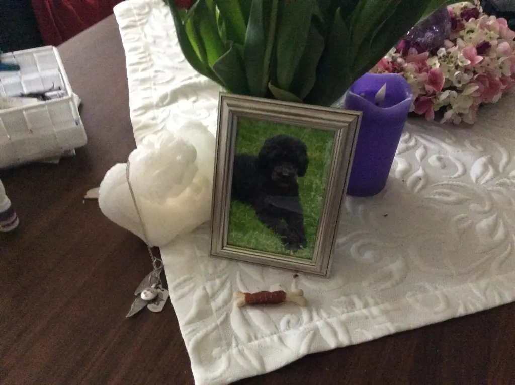 Andachtsbild von Heidi 