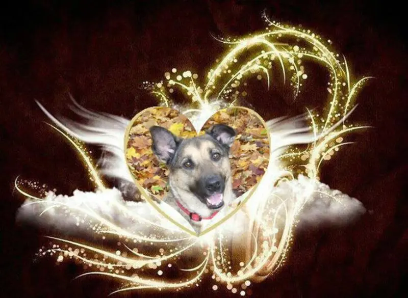 Andachtsbild von Unbekannt