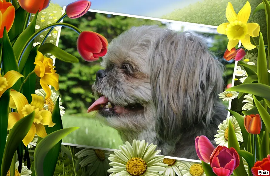 Andachtsbild von Kathrin mit Susi im Herzen