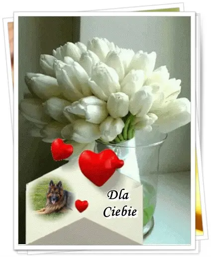 Andachtsbild von Dzień Dobry Misieńku❤️❤️❤️