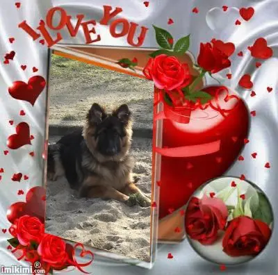 Andachtsbild von Dobrej Nocki Misieńku❤️❤️❤️