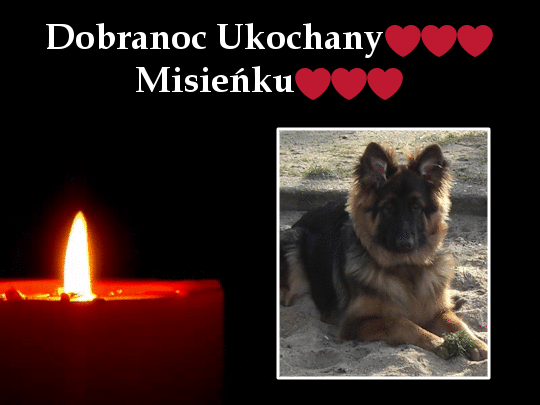 Andachtsbild von Dobrej Nocki Misieńku❤️❤️❤️