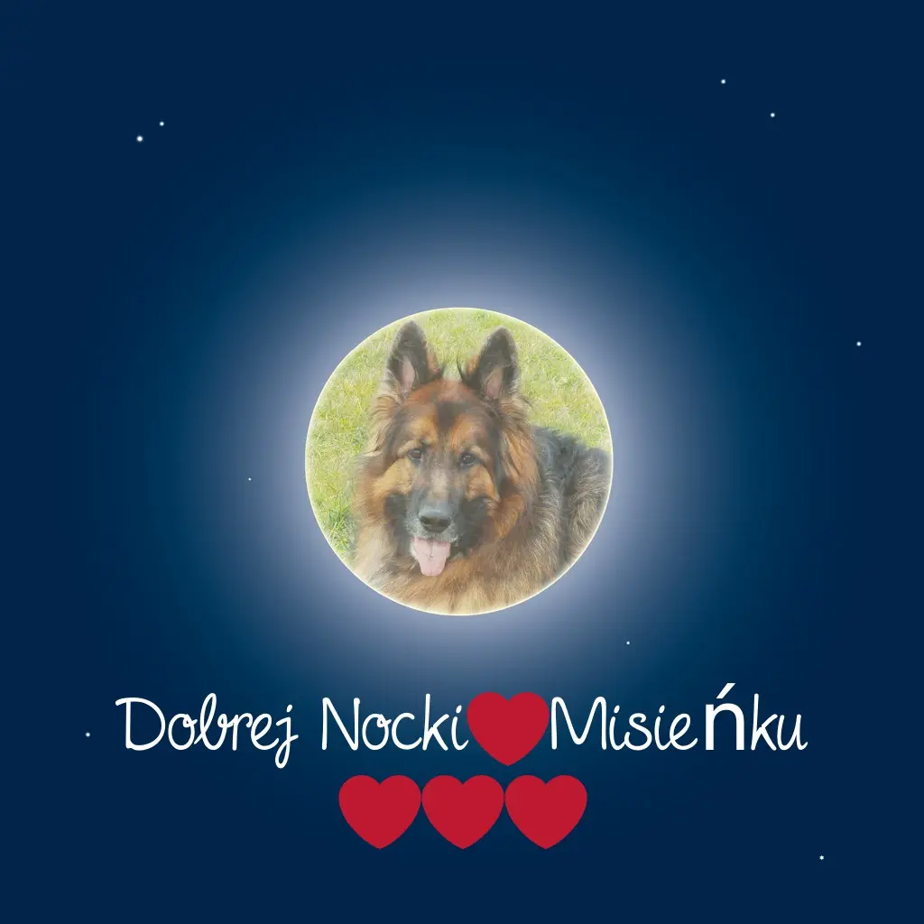 Andachtsbild von Dobrej Nocki Misieńku❤️❤️❤️