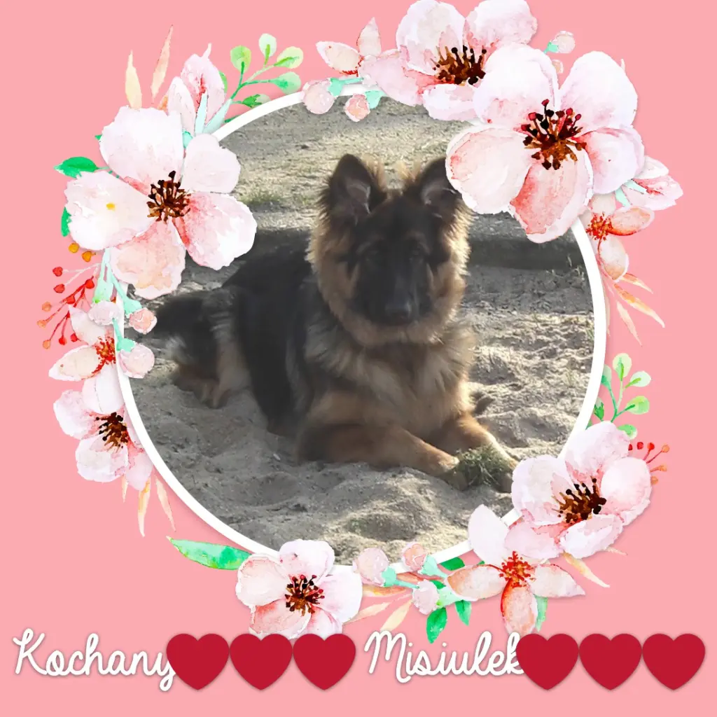 Andachtsbild von Kocham Cię❤❤❤