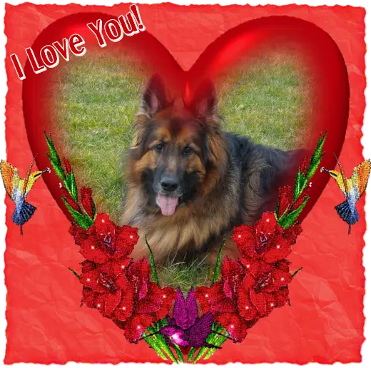 Andachtsbild von Dzień Dobry Misieńku❤️❤️❤️