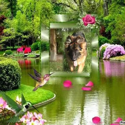 Andachtsbild von Dzień Dobry Ukochany Misieńku❤️❤️❤️