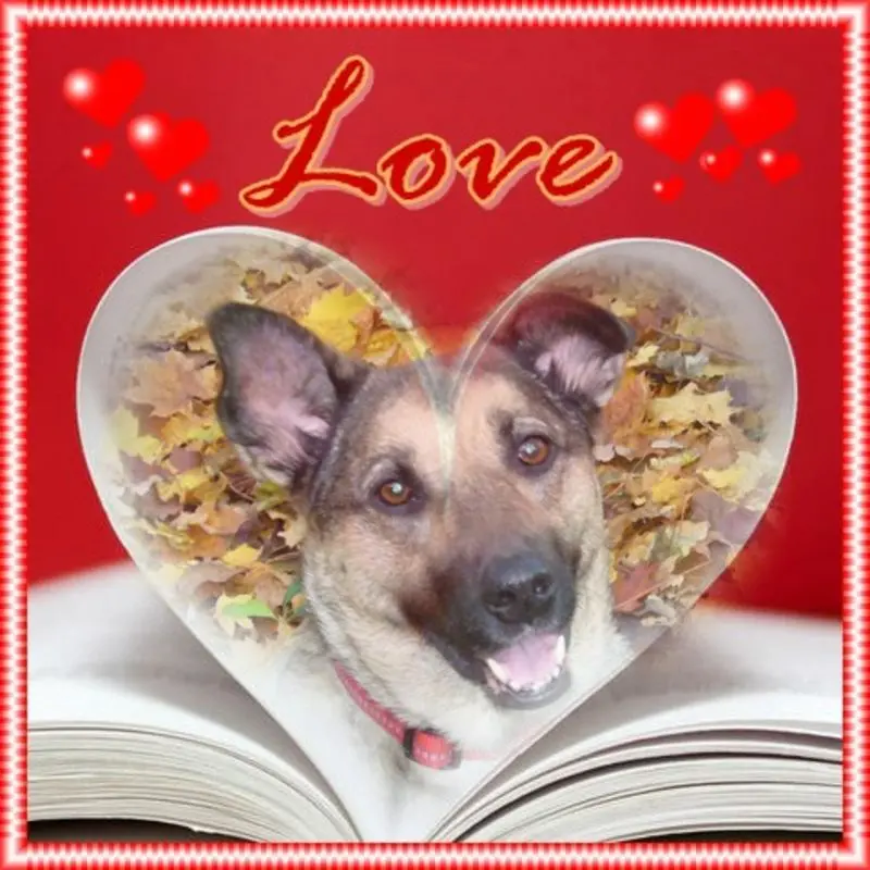 Andachtsbild von Unbekannt