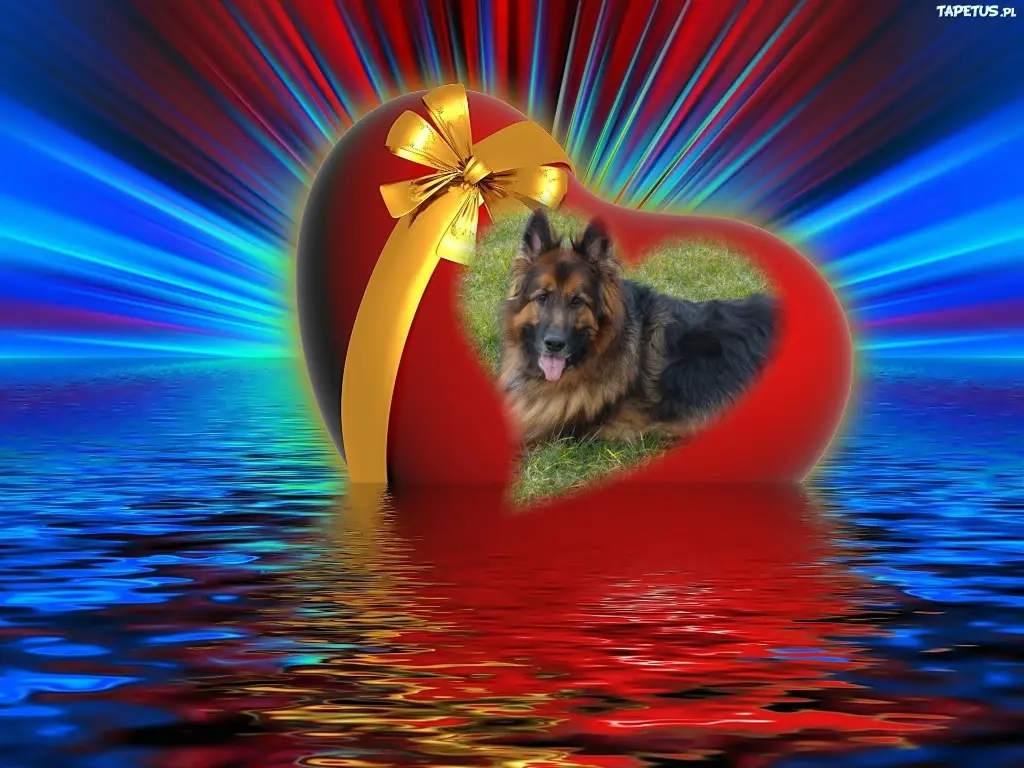 Andachtsbild von Dzień Dobry Ukochany Misieńku❤️❤️❤️