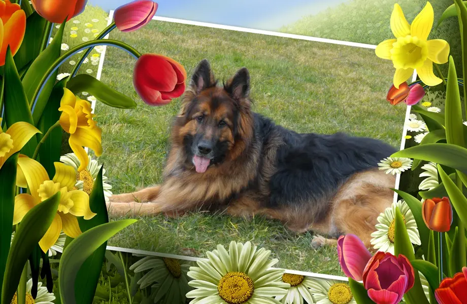 Andachtsbild von Dzień Dobry Misieńku❤️❤️❤️