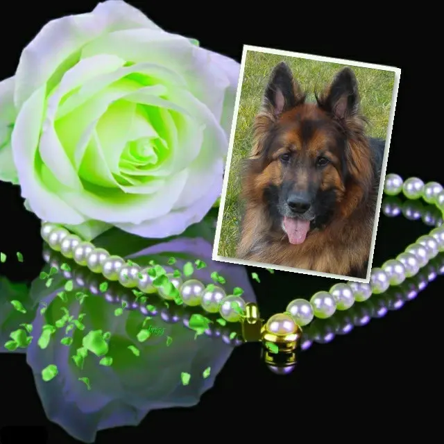 Andachtsbild von Kochany Misiu❤❤❤