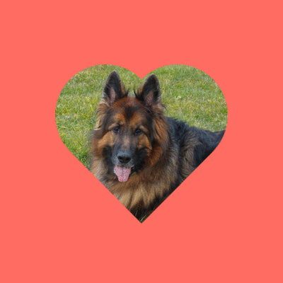 Andachtsbild von Kochany Misiu❤❤❤