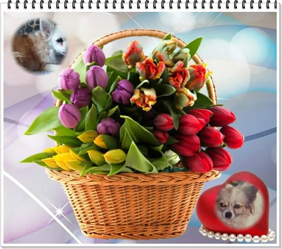 Andachtsbild von ❤️❤️❤️