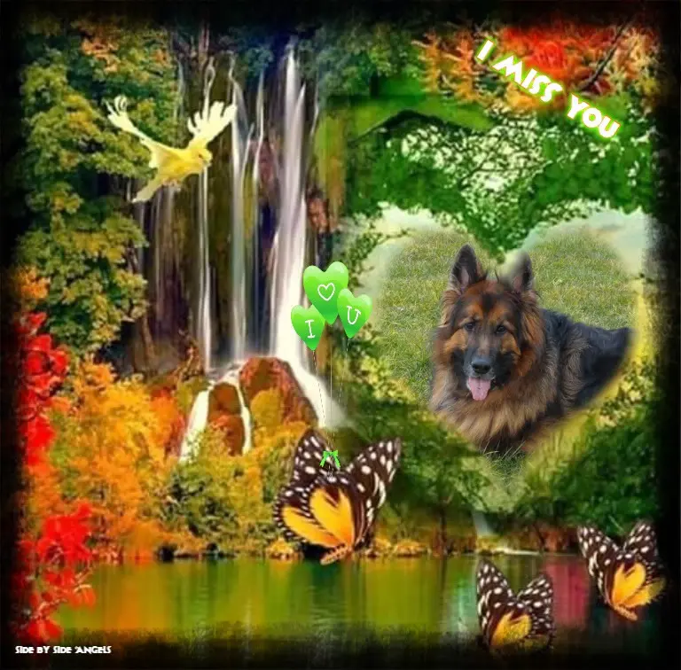 Andachtsbild von Ukochany Misieńku❤️❤️❤️