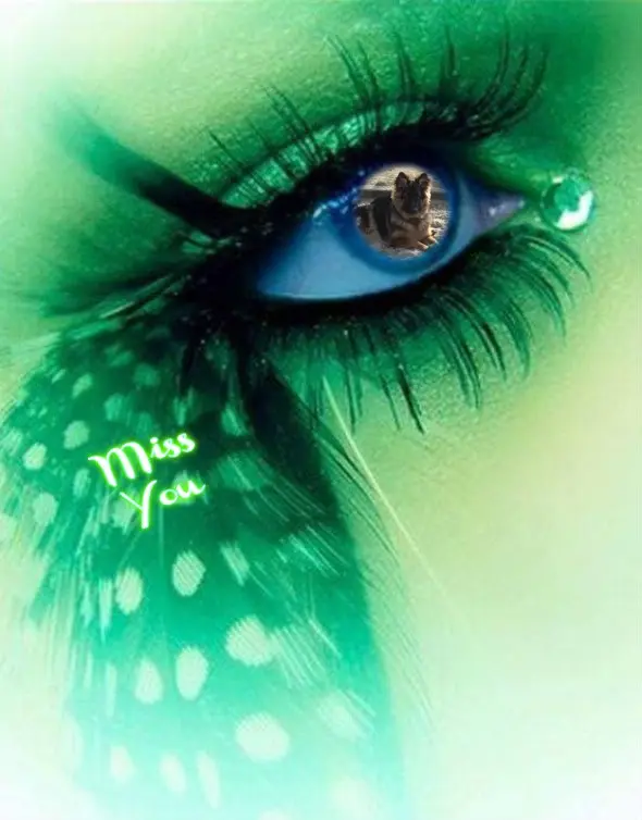 Andachtsbild von Kochany Misiu❤❤❤