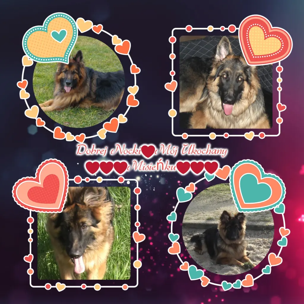 Andachtsbild von Dobrej Nocki Misieńku❤️❤️❤️