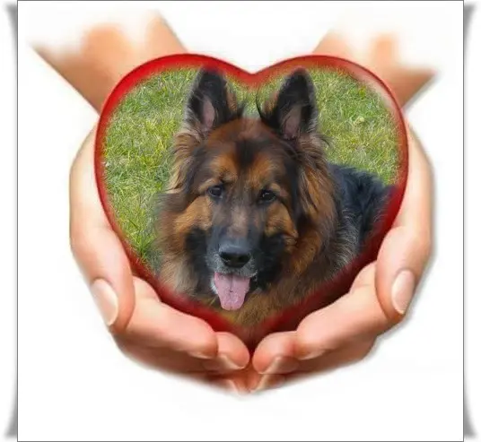 Andachtsbild von Kochany Misiu❤❤❤