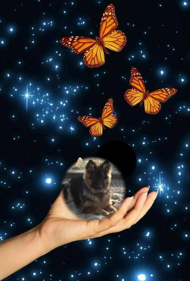 Andachtsbild von Dobrej Nocki Misieńku❤️❤️❤️