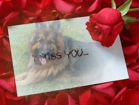 Andachtsbild von Ukochany Misieńku❤️❤️❤️