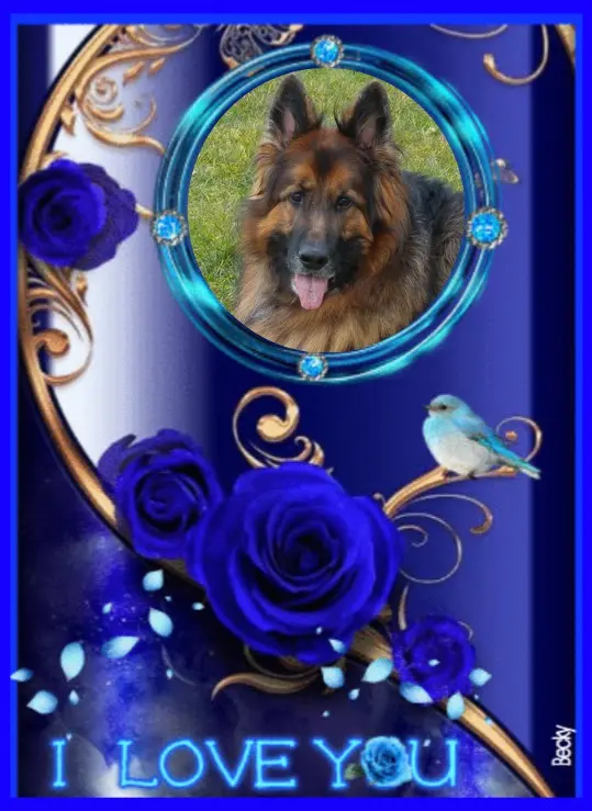 Andachtsbild von Dobrej Nocki❤️Misieńku❤️❤️❤️