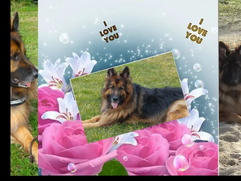 Andachtsbild von Dzień Dobry Misieńku❤️❤️❤️