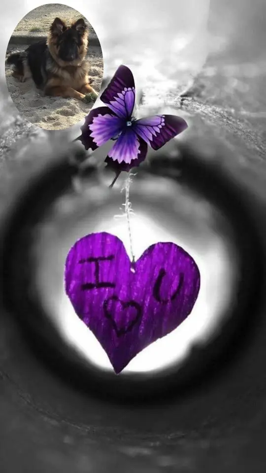 Andachtsbild von Dobrej Nocki Misieńku❤️❤️❤️