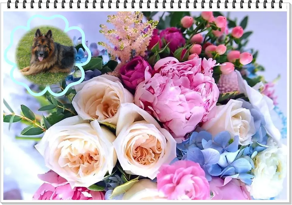 Andachtsbild von Kochany Misiu❤❤❤