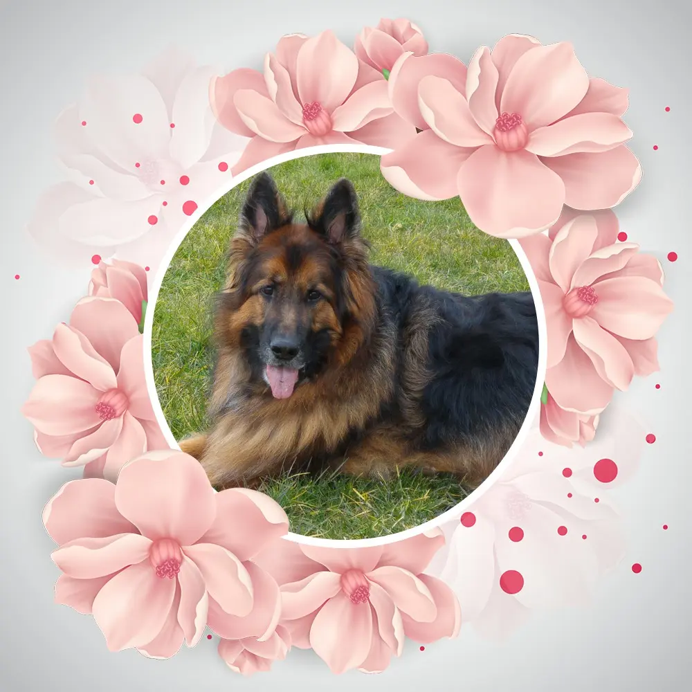 Andachtsbild von Meine Liebe Misieńku❤️❤️❤️