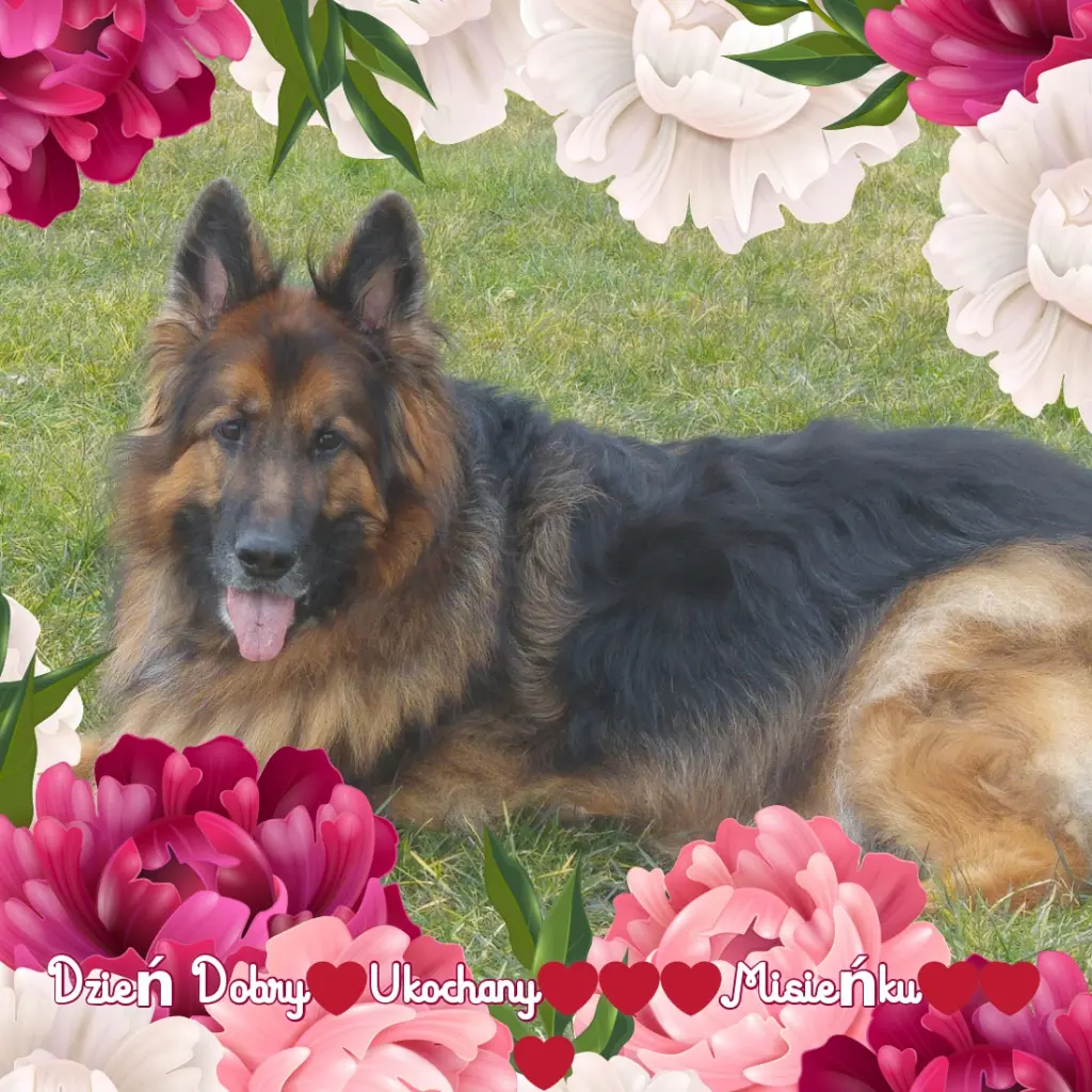 Andachtsbild von Mój Misiulku❤❤❤