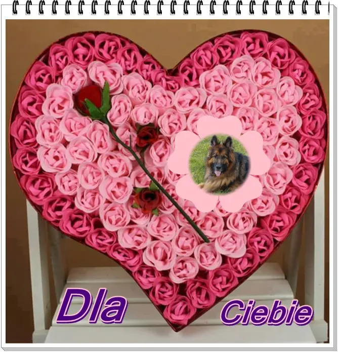 Andachtsbild von Ukochany Misieńku❤️❤️❤️