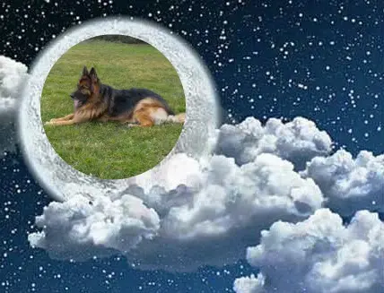 Andachtsbild von Dobrej Nocki Misieńku❤️❤️❤️