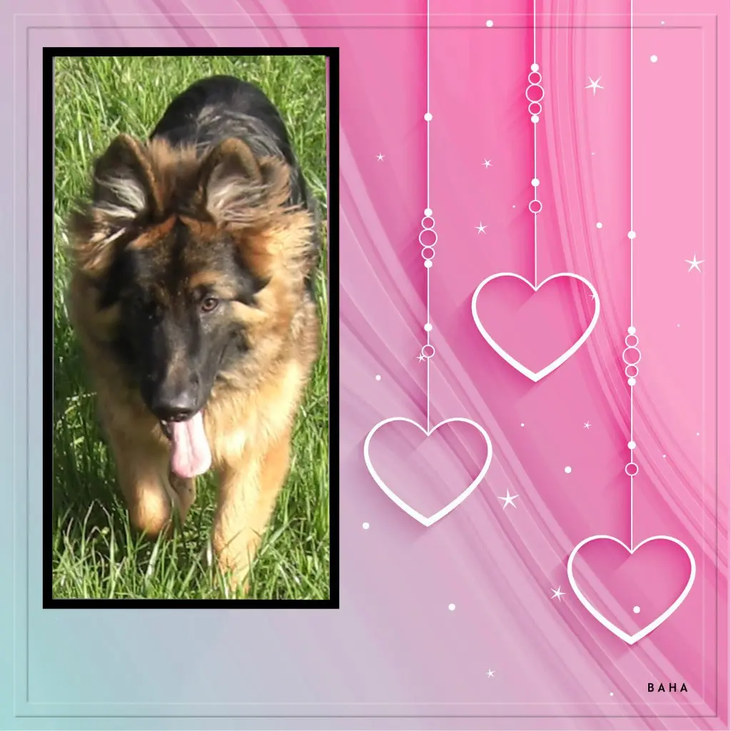 Andachtsbild von Kochany Misiu❤❤❤