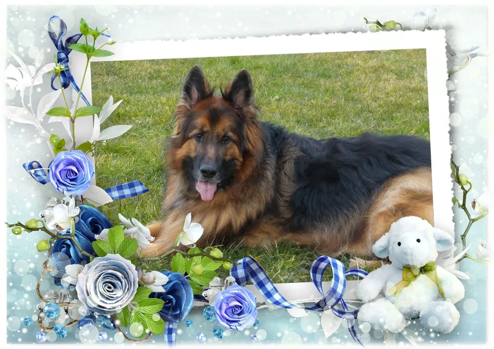 Andachtsbild von Dzień Dobry Misieńku❤️❤️❤️