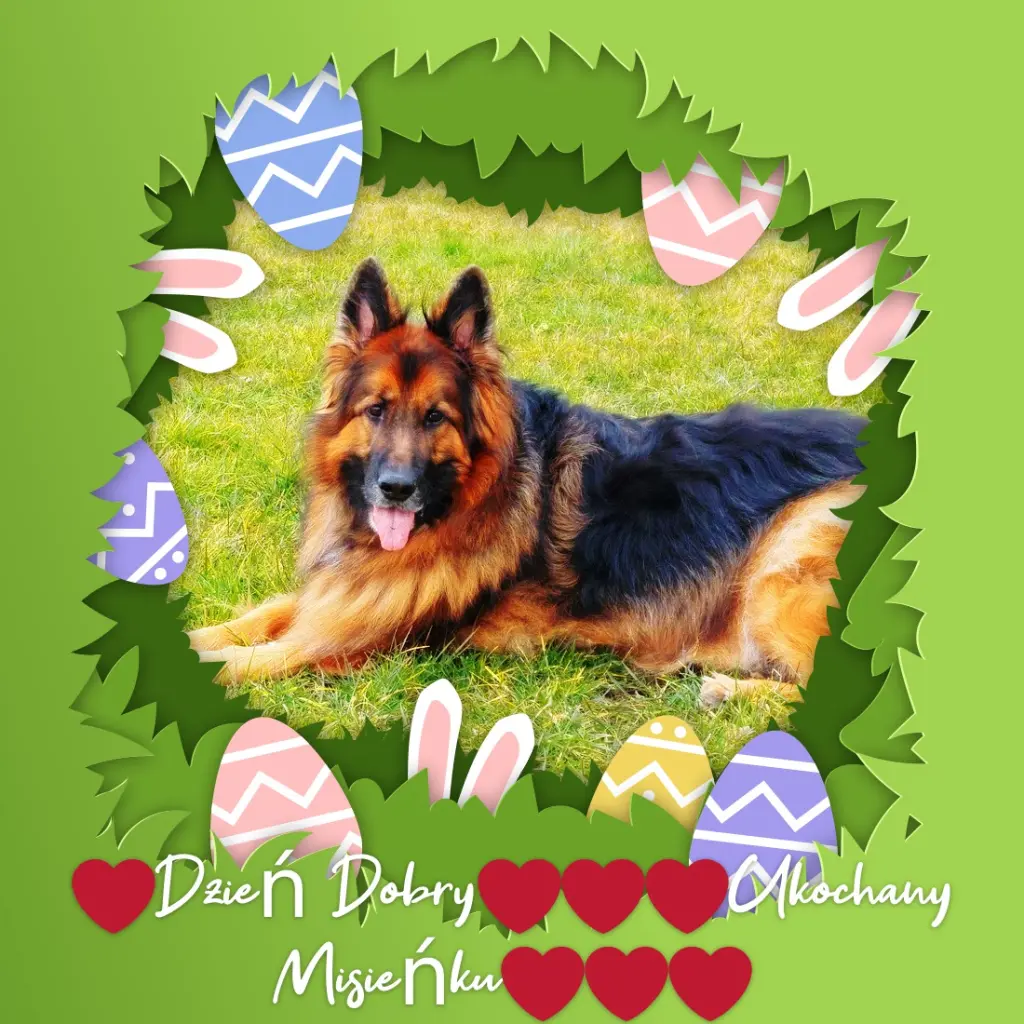 Andachtsbild von Dzień Dobry Misieńku❤️❤️❤️