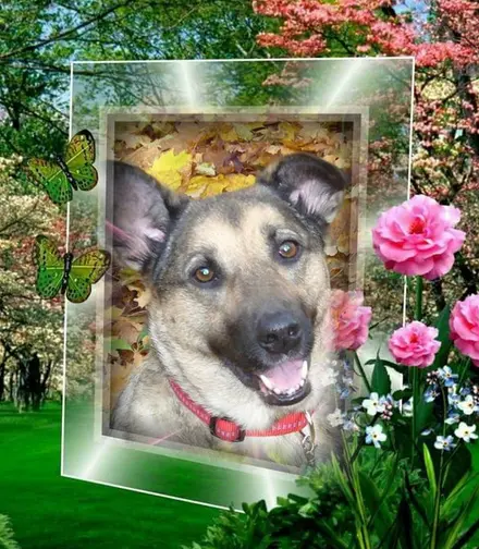 Andachtsbild von Unbekannt