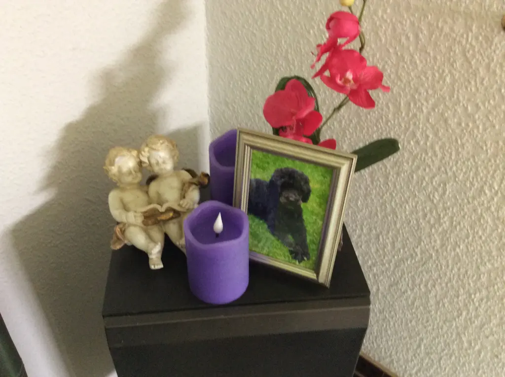 Andachtsbild von Heidi 