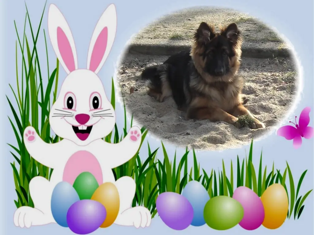 Andachtsbild von Kocham Cię❤❤❤