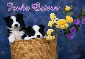 Andachtsbild von Kathrin mit Susi im Herzen