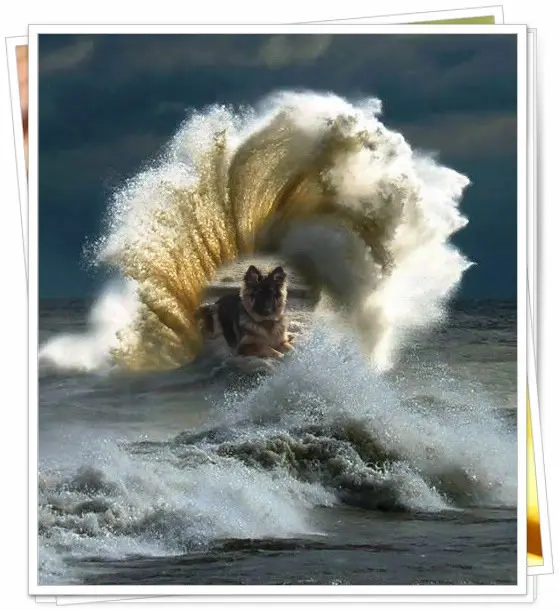 Andachtsbild von Dobrej Nocki Misieńku❤️❤️❤️