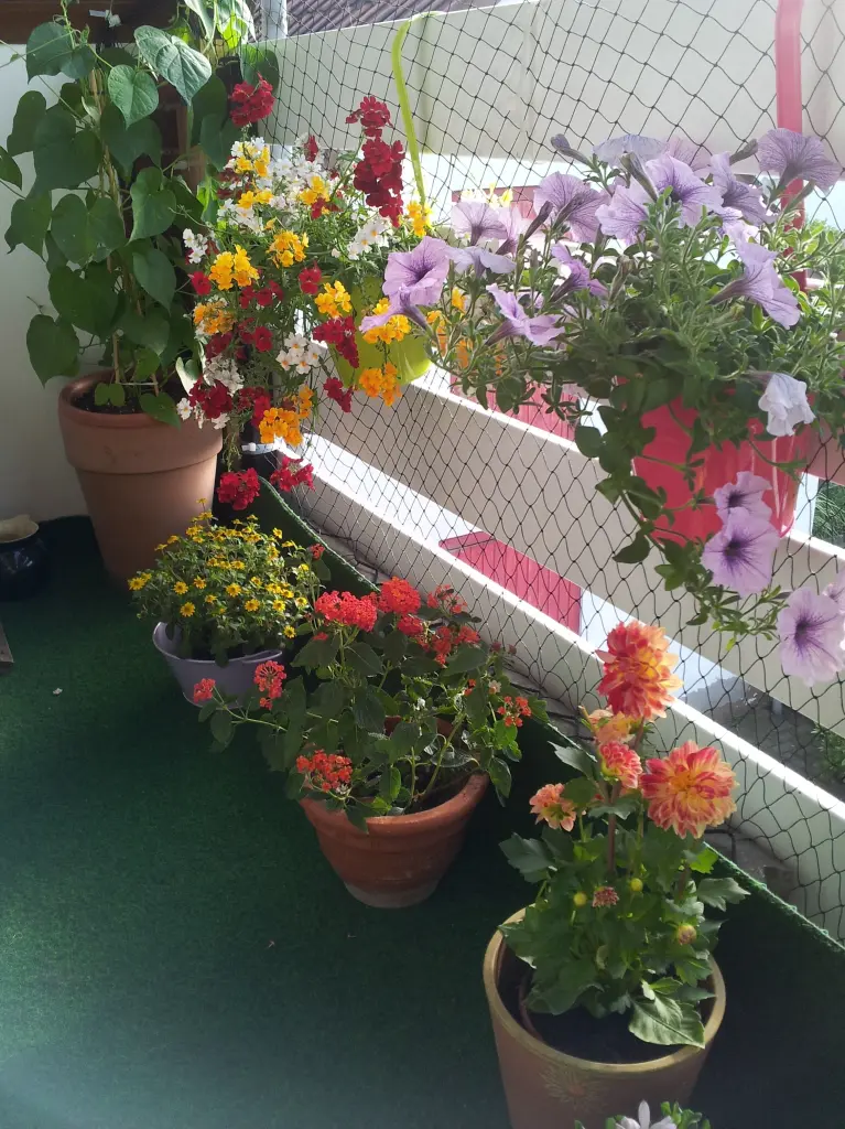 Andachtsbild von Ilse mit Jule, Gismo,  Fee und Minna tief im Herzen