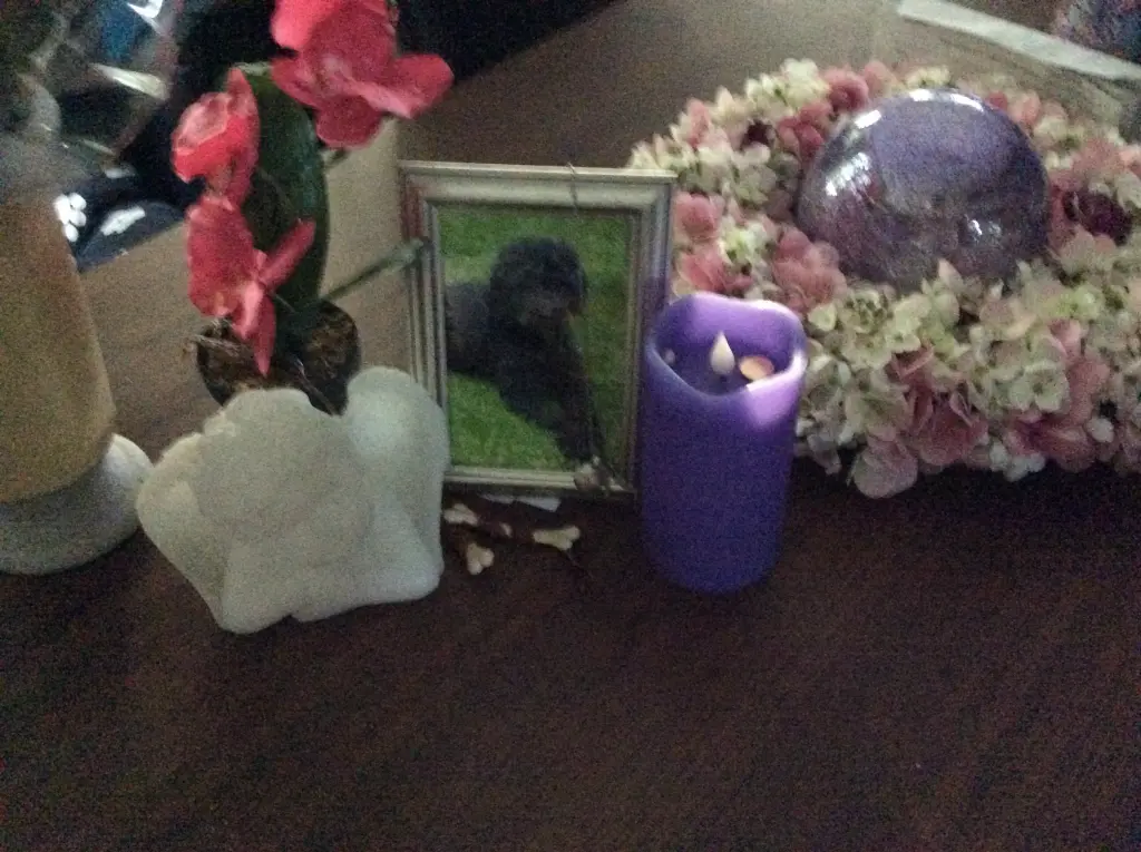 Andachtsbild von Heidi 