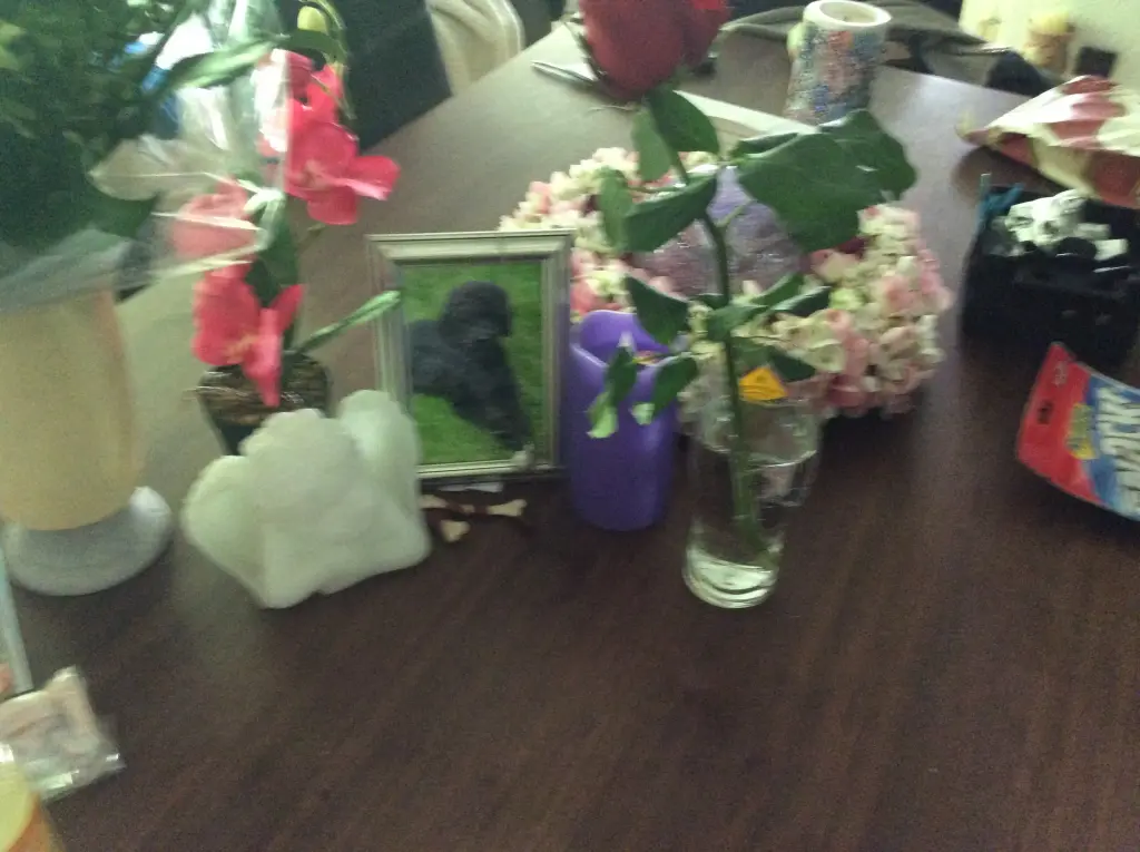 Andachtsbild von Heidi 