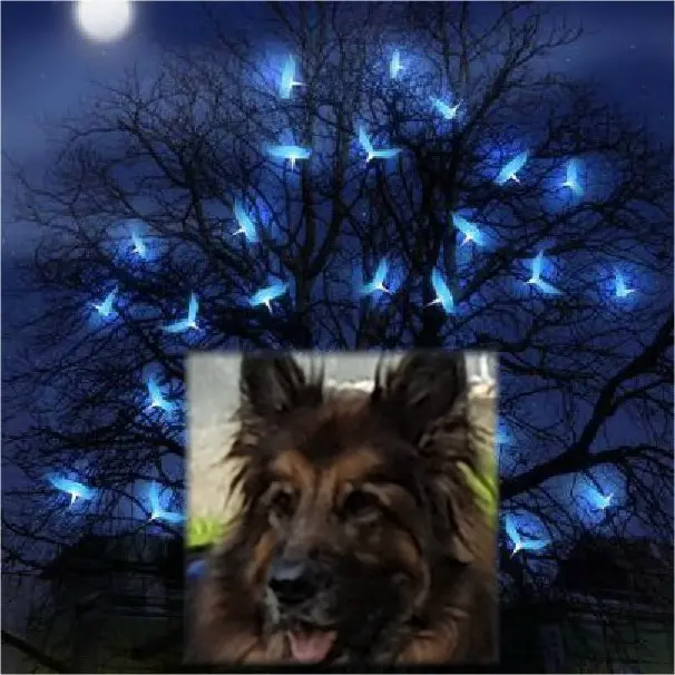 Andachtsbild von Dobrej Nocki Ukochany Misieńku❤️❤️❤️