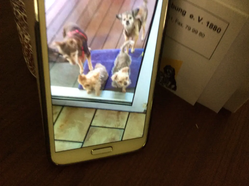 Andachtsbild von Heidi 